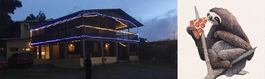 the-wandering-sloth-bar-and-grill